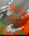 MG 236 Printed Daily Wear Sarees Exporters In India